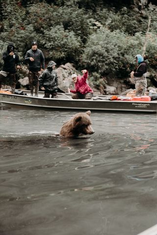 Canoeing by a bear